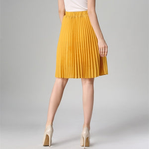 Autumn Women  Elastic High Waist Pleated Skirt - friipe